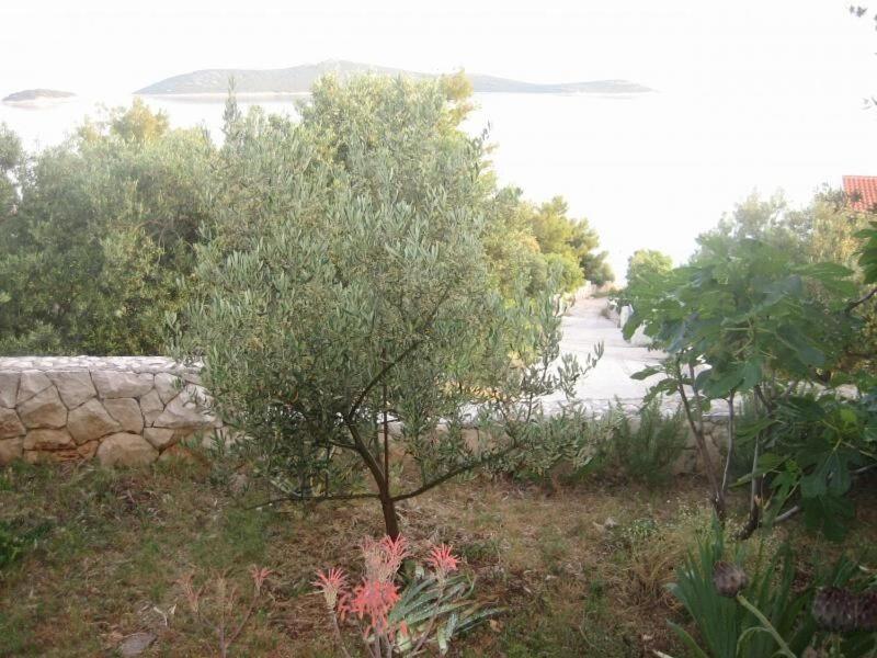 סביד Apartments Mil - 80M From The Sea מראה חיצוני תמונה